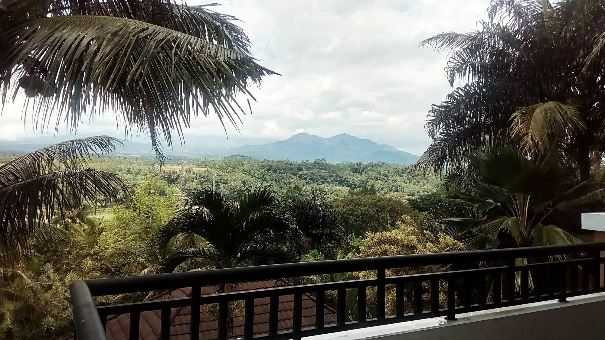 The Oxalis Regency Hotel Magelang Dış mekan fotoğraf
